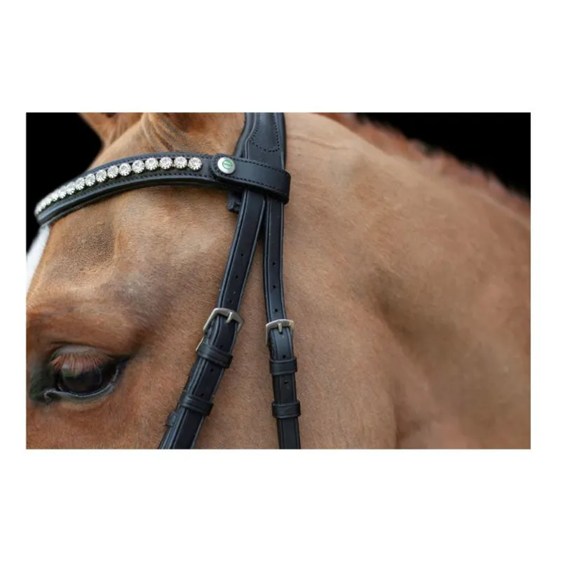 Cameo EcoRider Ultra Comfort Navan Bridle Full in Brown-3
